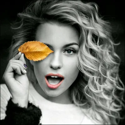 Si je vous parle d'une blonde d'Aquitaine :