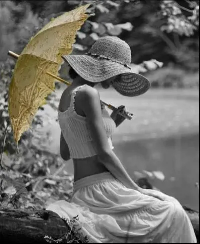 Dans sa chanson, Sardou n'aurait jamais cru que sa mère ait pu faire un enfant, s'il n'avait pas vu...