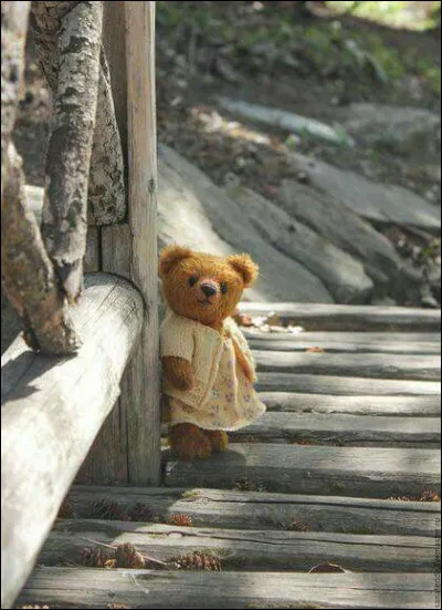 Qu'est-ce qui apparaît dans le magazine Pomme d'Api en 1975, qui est petit et brun ?