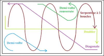 Quelles sont les figures de manège qui ne doivent pas nous faire changer de main ?