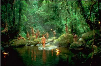 De quoi est la ''Forêt'' d'après le titre du film réalisé en 1985 par John Boorman ?