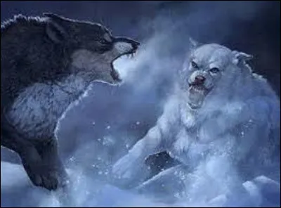 Qui est l'auteur du roman ''L'Appel de la forêt'' ?