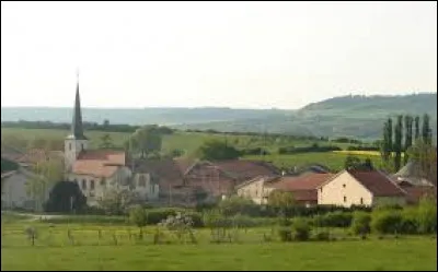 Nous sommes dans le Grand-Est, &agrave; Laneuvelotte. Village &agrave; 9 kilom&egrave;tres de Nancy, il se situe dans le d&eacute;partement ...