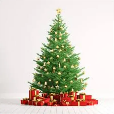 Dans quel conte voit-on un sapin pressé de grandir ?