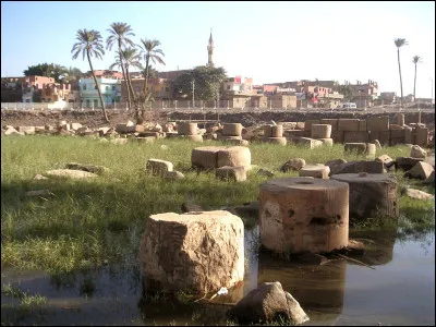 Eddy Mitchell est ''Sur la route de Memphis''. Memphis est bien sûr une ville américaine, mais de quel autre pays fut-elle la capitale ?