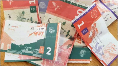 No 9 - 900 euros le kilo. Ça fait cher le fruit de l'été !
La pastèque Densuke a la peau noire et est uniquement cultivée sur l'île de Hokkaido. Où se trouve cette île ?