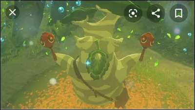 Comment s'appelle ce Korogu ?