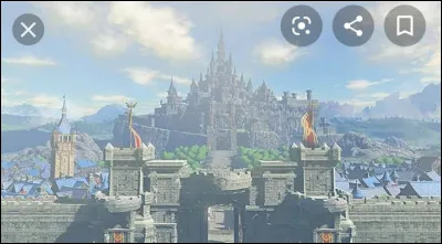 Que trouve-t-on principalement dans le château d'Hyrule ?