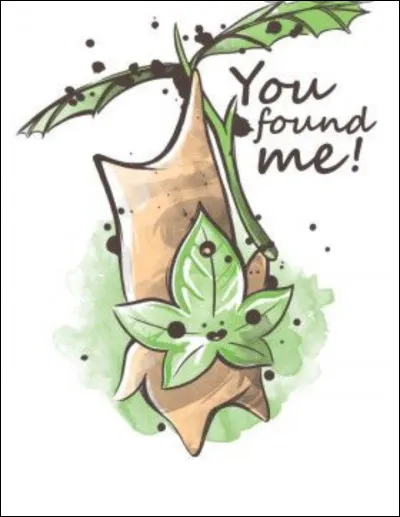 Combien y a-t-il de Korogu ?