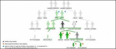 Dans quel livre est classé le "droit des successions" ?