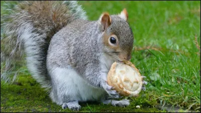 Jusqu'où vont vos connaissances ?