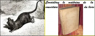 Qu'obtenons-nous avec l'ensemble ?