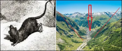 Procédez à la même réflexion que ci-dessus pour obtenir un nouveau mot. Qu'indiquera-t-il ?