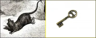 Quel est le résultat de l'association des deux illustrations ?