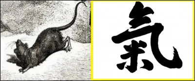 Cela nous donne une boisson orientale et précisément turque.