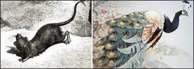 Cela produit curieusement une forme verbale employée en cuisine.