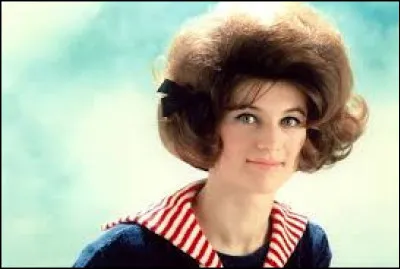 ''Vous les copains, je ne vous oublierai jamais'' est une reprise de Sheila. Pour quelle marque cette chanson a-t-elle été utilisée dans une publicité ?