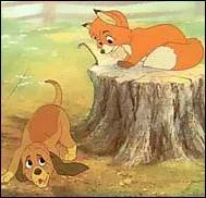 Quel dessin animé est représenté sur cette photo ?