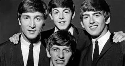''Rock and Roll Music'' est une reprise des Beatles. On s'accorde à penser que le rock 'n' roll est né avec ''Rock Around the Clock'' de Bill Haley. Non sans logique, comment avait-il appelé son groupe ?