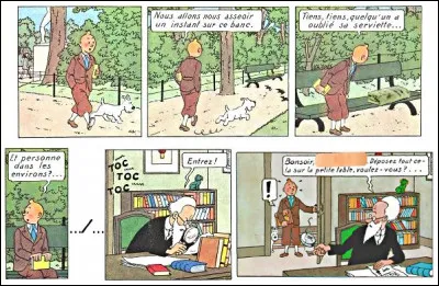 Nous sommes au tout début de l'album "Le Sceptre d'Ottokar" : vous rappelez-vous bien tous les petits détails ?