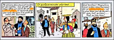 Marinons encore un peu dans l'alcool : que propose-t-on à nos amis au Pérou, qui semble tant ravir le capitaine ? De quoi cette boisson est-elle faite ?