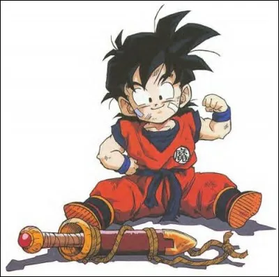 Quelle tenue Sangohan porte-t-il durant le combat contre Cell ?