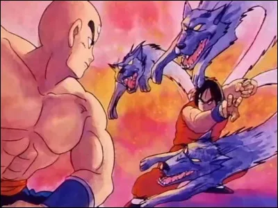 Quel est le premier Tenkaichi Budokai auquel Tenshinhan a particip&eacute; ?