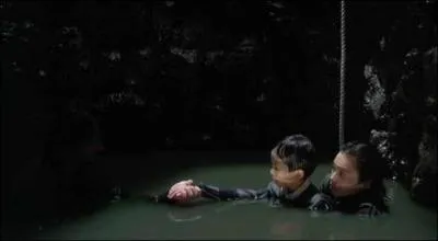 Quel est ce film de Hideo Nakata ?