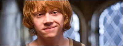 Combien Ron a-t-il de frères et s&oelig;urs ?