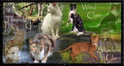 Quel serait ton rang dans "La Guerre des clans" ?