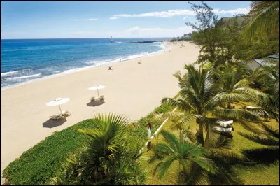 Tu remarques alors qu'il fait une chaleur incroyable ! Un habitant te dit que les températures peuvent monter jusque 35 degrés en été et descendent seulement à 16 degrés environ en hiver.