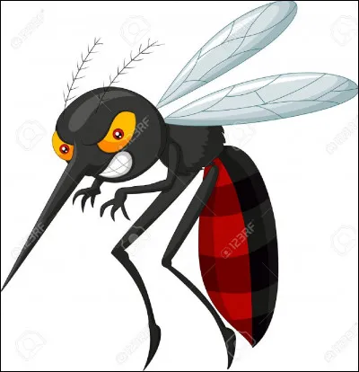 Tu parcours le Moufia lorsque tu sens plusieurs moustiques te piquer. Que penses-tu ?