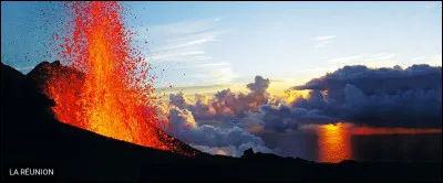 De quoi ne peux-tu pas te passer, dans ta vie ?