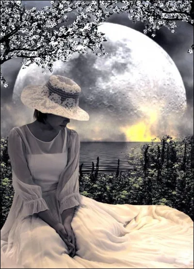 Quel est le titre du poème de Verlaine qui commence par les vers "Je fais souvent ce rêve étrange et pénétrant d'une femme inconnue et que j'aime et qui m'aime" ?