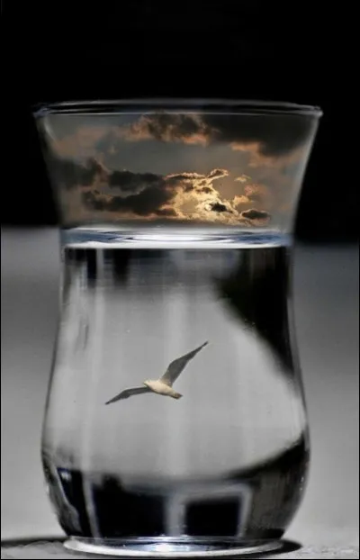 À qui appartient la chanson "J'en rêve encore" ?