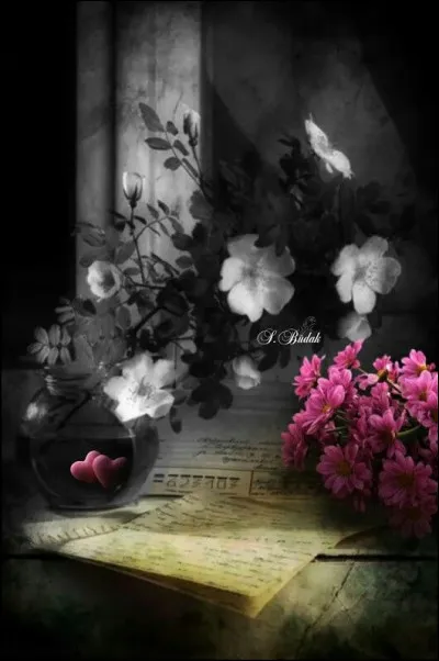 Son poème s'appelait "Rêve parisien", extrait du recueil "Les Fleurs du Mal" :