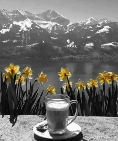 Quel groupe chantait "Si ce n'était pas un rêve, qu'il faille s'en aller" ?