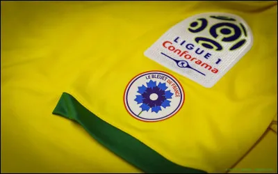 Ligue 1 : Lors de la saison 2019-2020 quelle équipe du championnat habituée au haut du classement se retrouve étrangement dans le ventre mou de la Ligue 1 ?