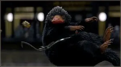 Comment s'appelle l'animal sur la photo ?