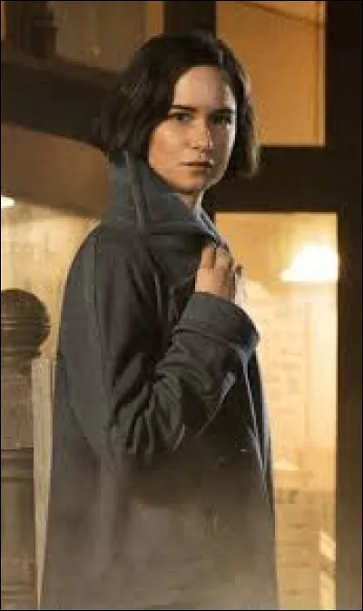 Quel est le métier de Tina dans "Les Animaux fantastiques" ?