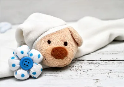 Dans quelle chanson de Pascal Odispo évoque-t-il la naissance de son fils ?