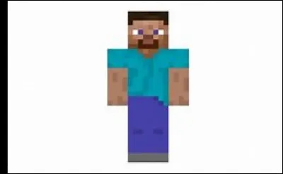 Quel est le surnom de Steve ?