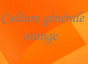 Quiz Orange