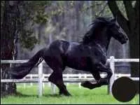 Quel est le nom de cette robe ?