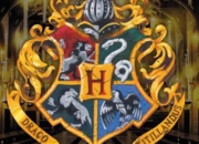 Test Dans quelle maison es-tu dans  Harry Potter  ?