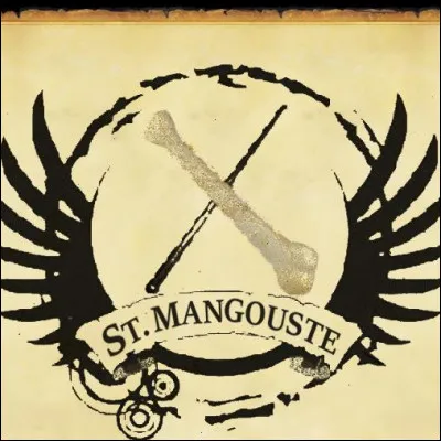 De quoi est faite ta baguette ?