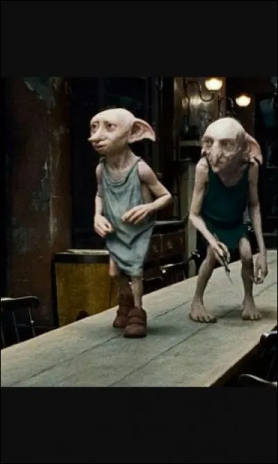 De quelle quête sont chargés Kreattur et Dobby ?