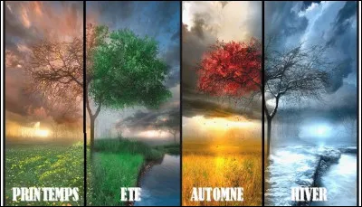 Ta saison préférée est...