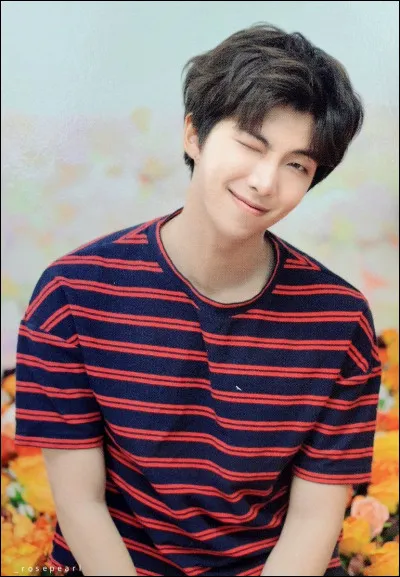 Quelle est la langue que RM parle le mieux ?