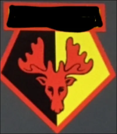 Quelle est cette équipe ?